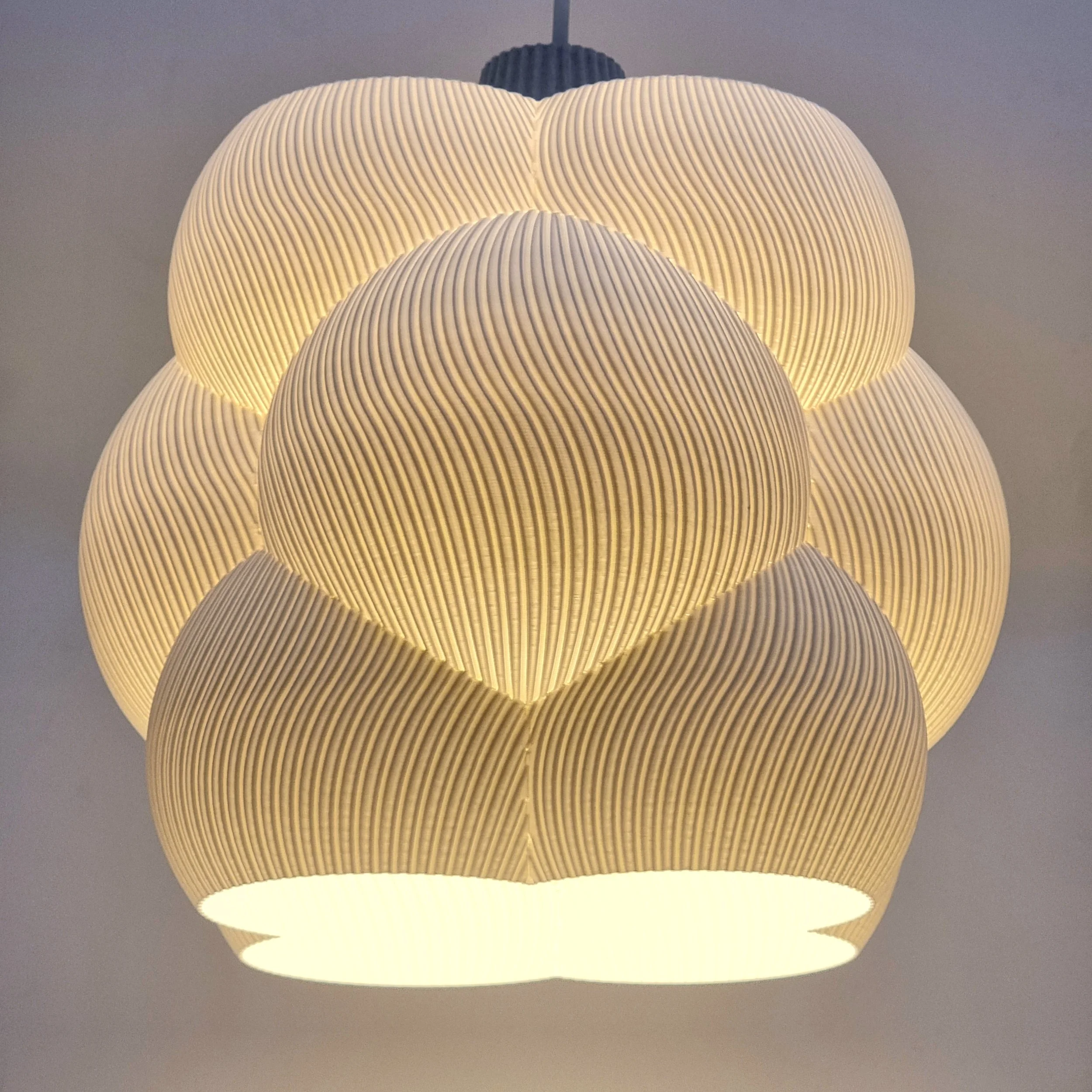 3DPPA - Culumus Lampshade - Side ISO - ON.jpg
