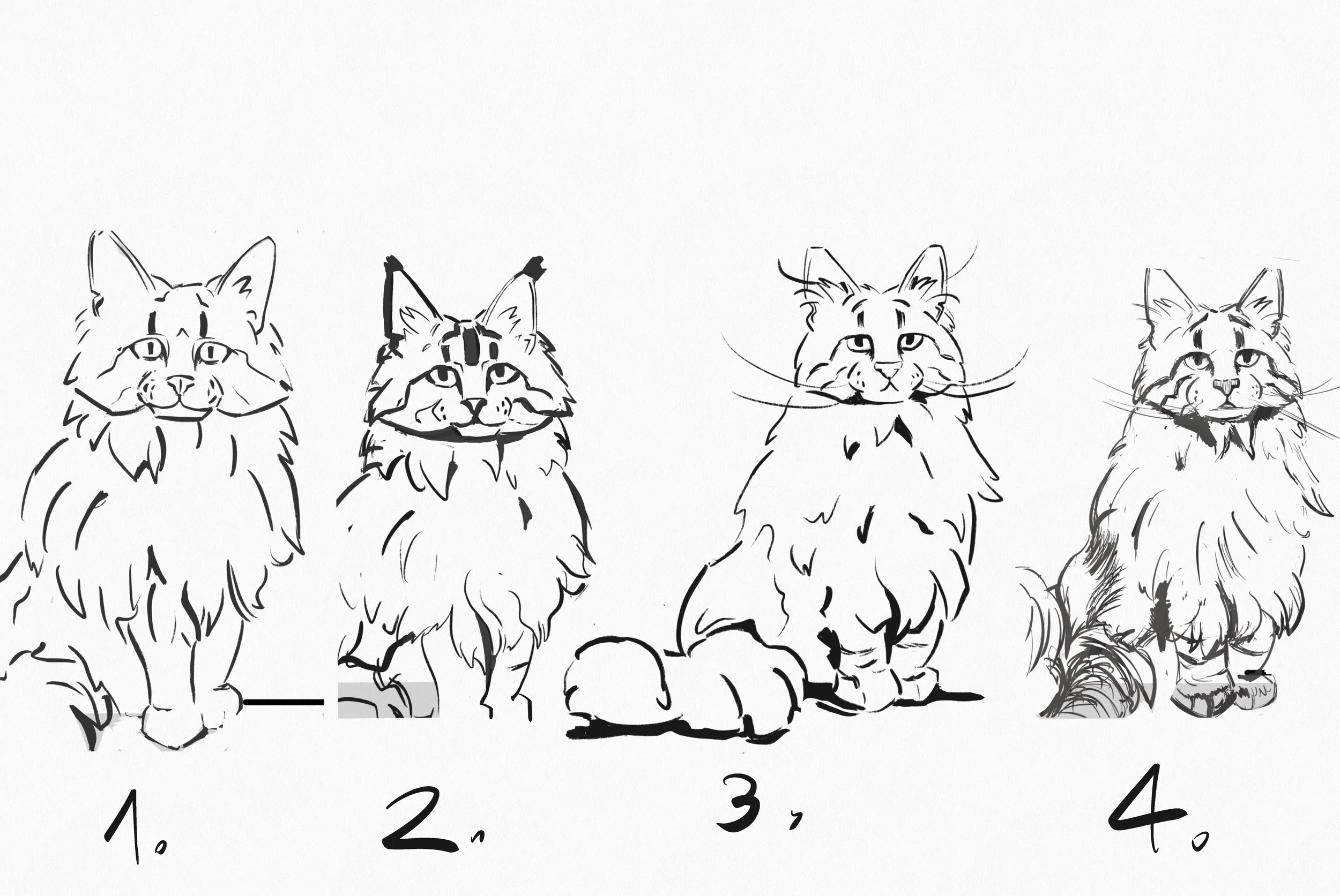 Cat 01 iteration