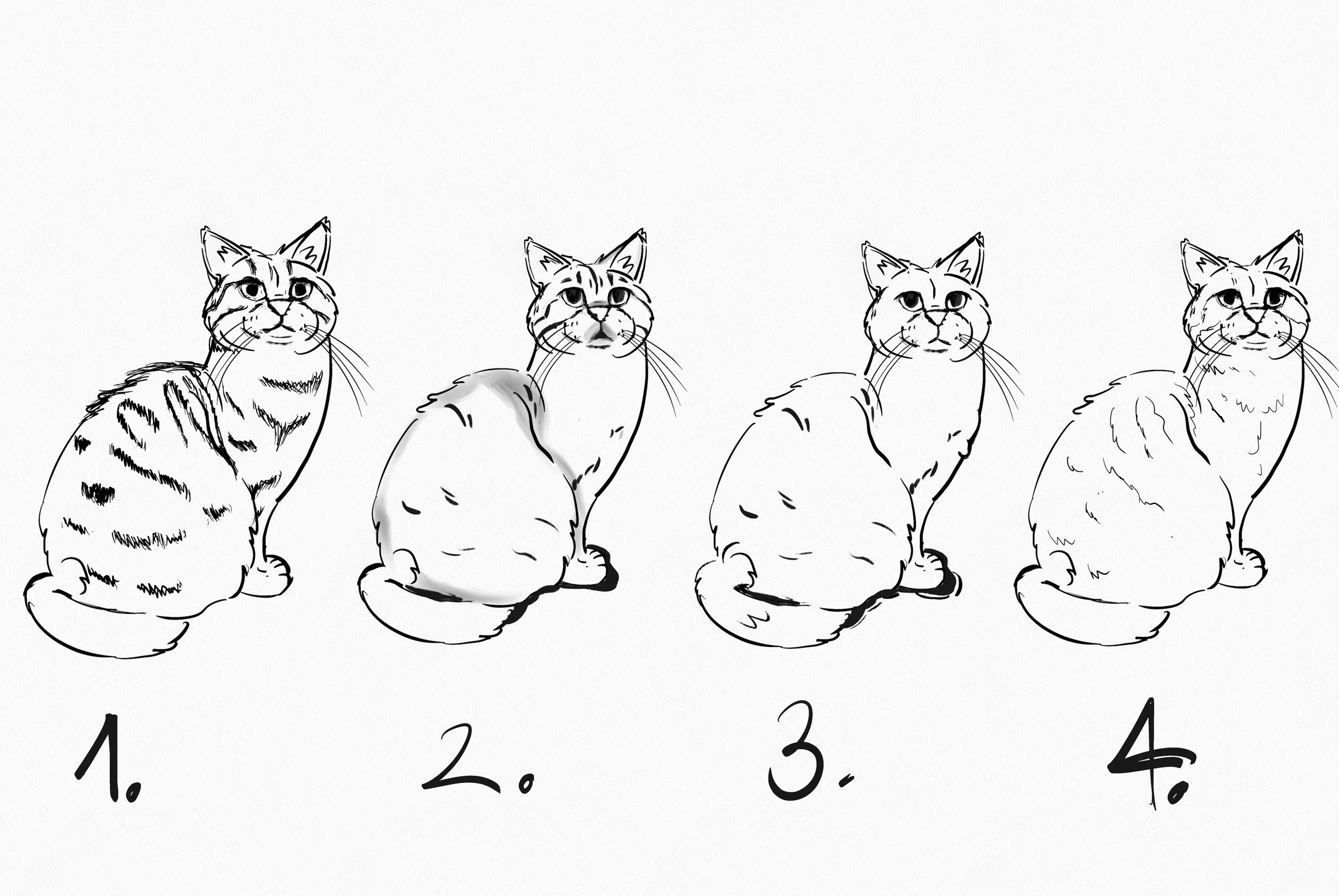 Cat 02 iteration