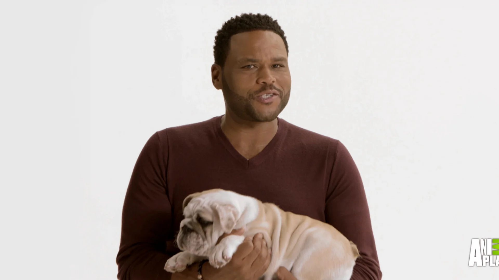 Animal Nation with Anthony Anderson