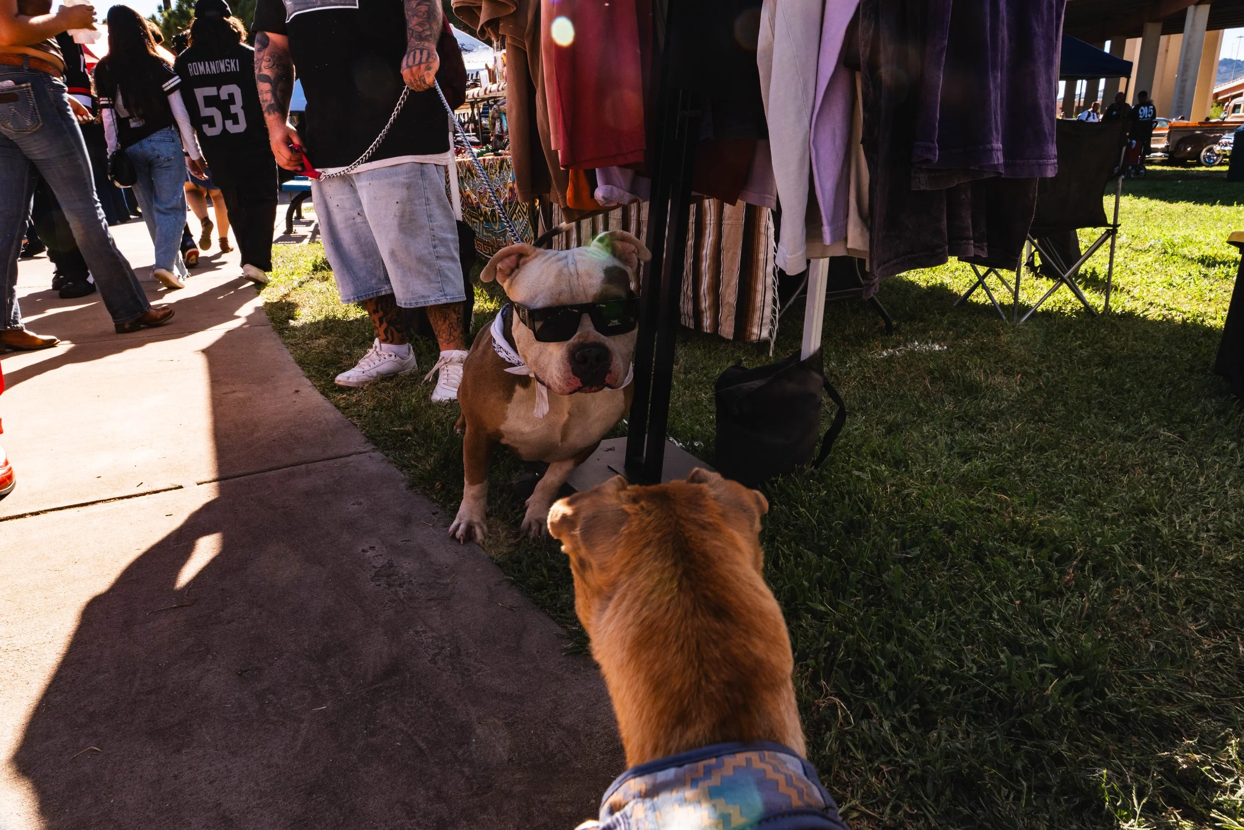 Two dogs at an outdoor market, one wearing sunglasses sitting on the sidewalk and the other facing away, with people walking by and market stalls with clothing in the background.