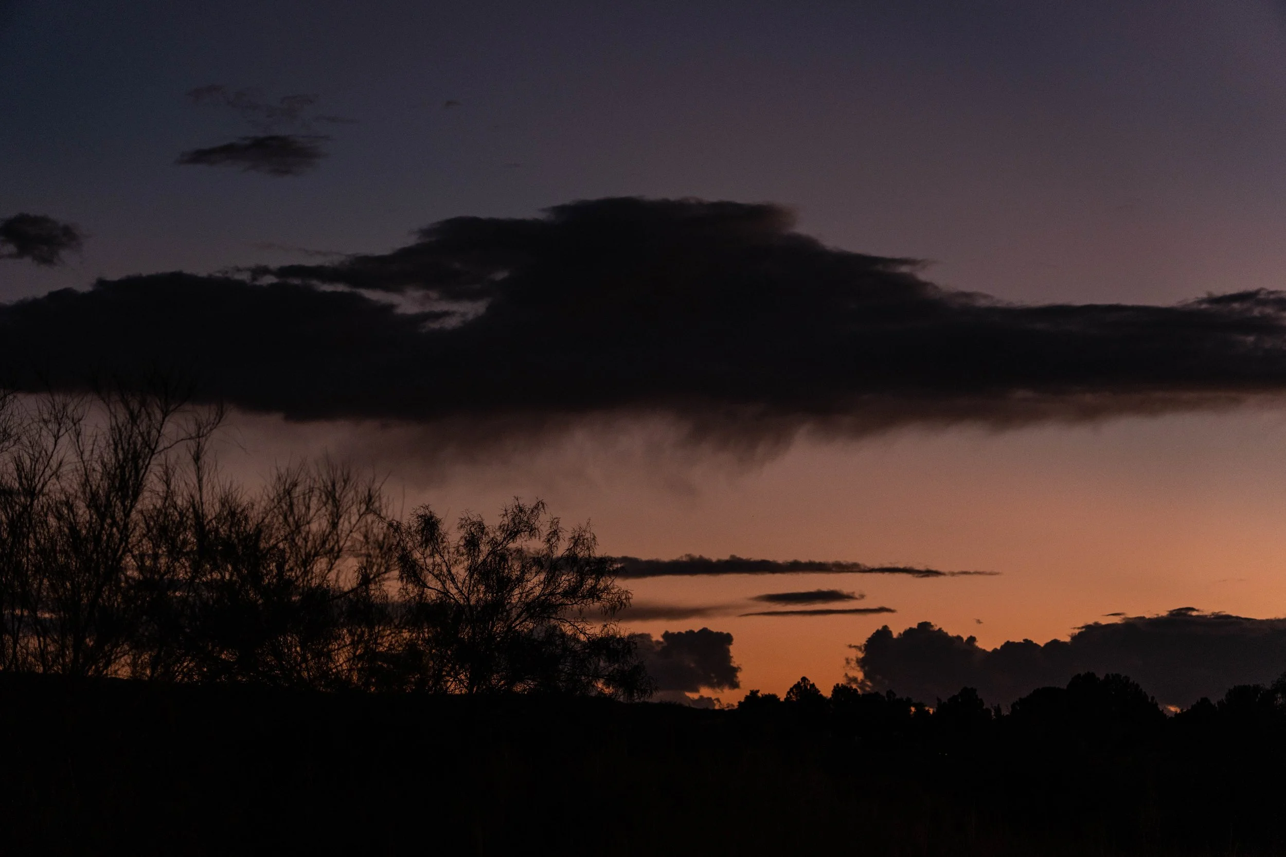 Dark clouds over a sunset with silhouetted trees in the foreground.