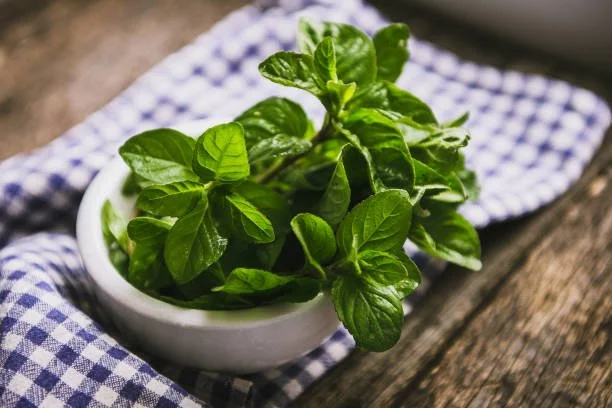 Peppermint Monograph