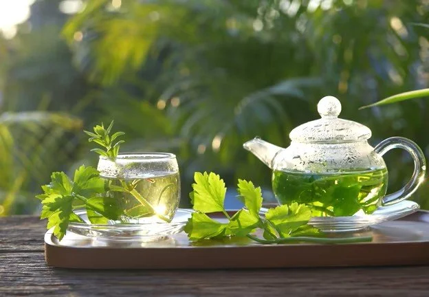 Lemon Balm — The Joy Bringer