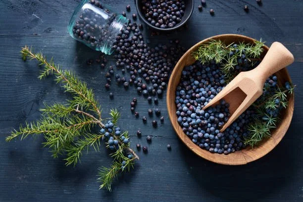 Juniper — The Purifier