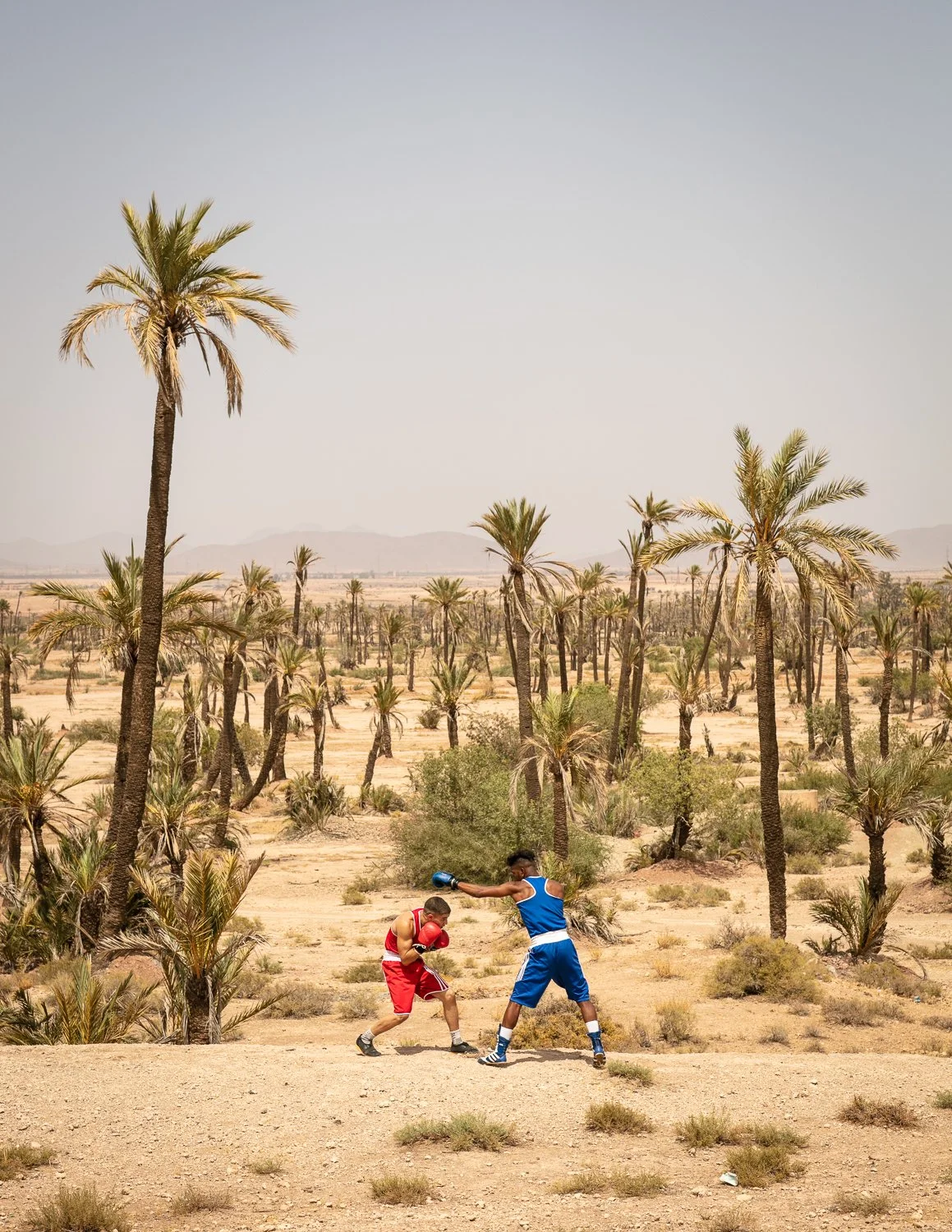 Lorem ipsum dolor sit amet, consectetur adipiscing elit.