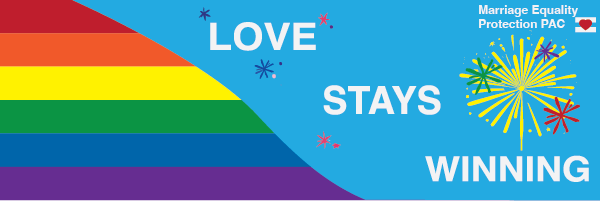 Digital organizing email example for voter turnout