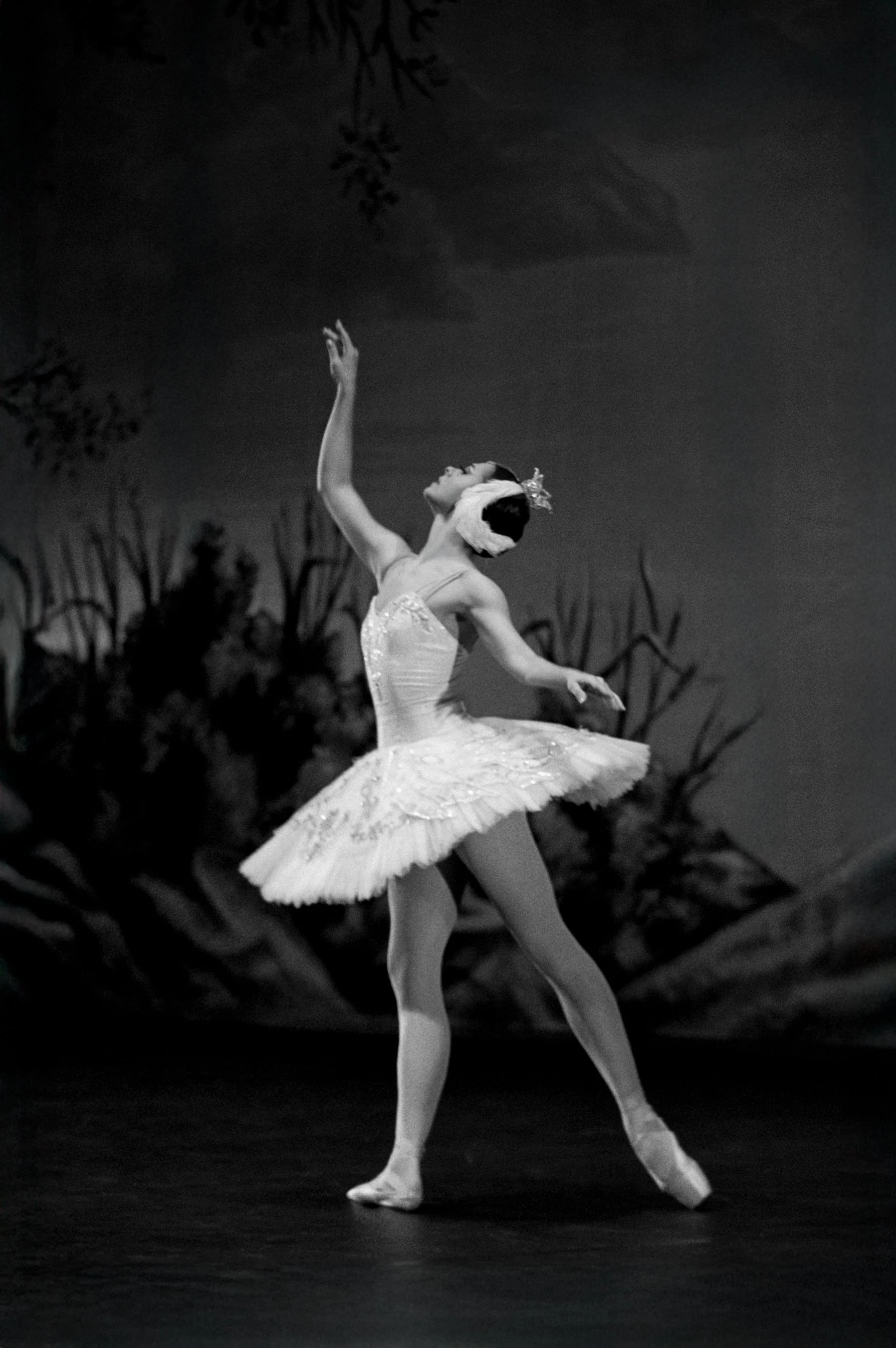 The International Ballet Company - For Teeth Magazine - January 2026

⠀⠀⠀⠀⠀⠀⠀⠀⠀
