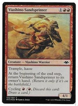 viashino sandsprinter.1.jpg