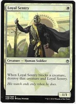 Loyal Sentry