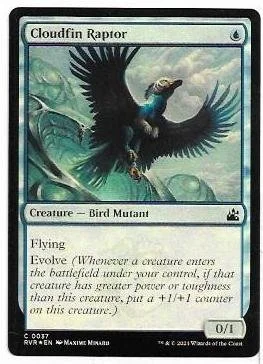 cloudfin raptor.1.jpg