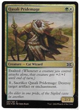 qasali pridemage.1.jpg