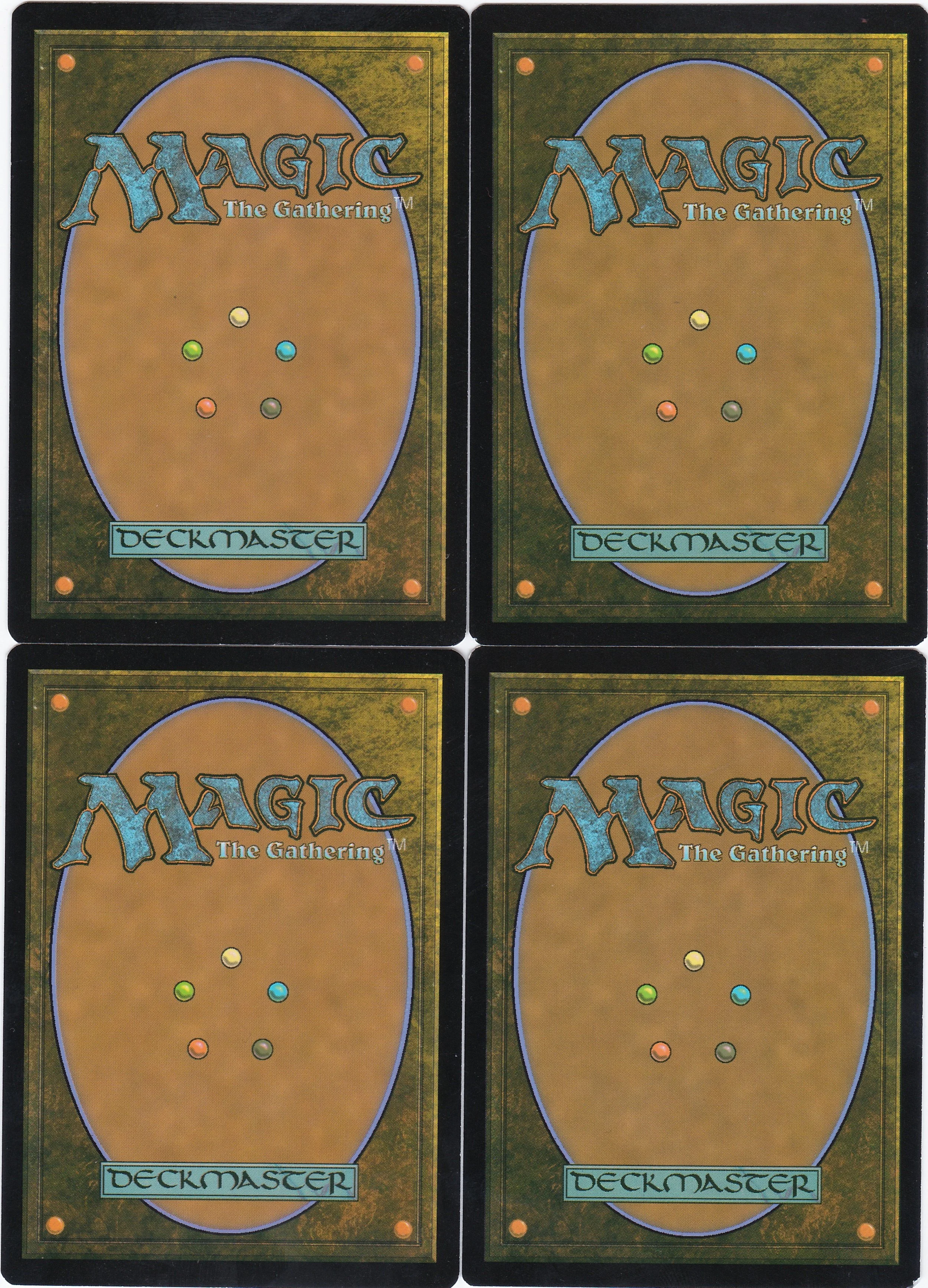 frilled mystic b.jpg