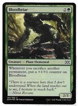 Bloodbriar