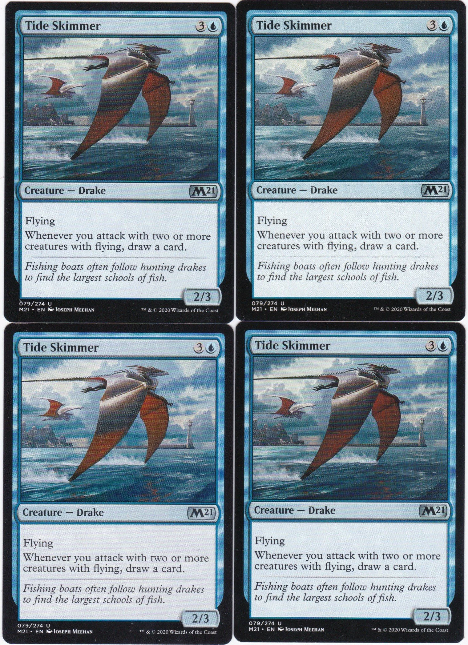 tide skimmer a.jpg