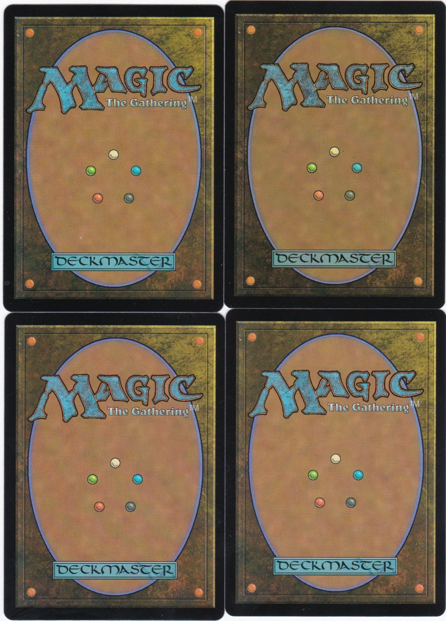 sunset revelry b.jpg