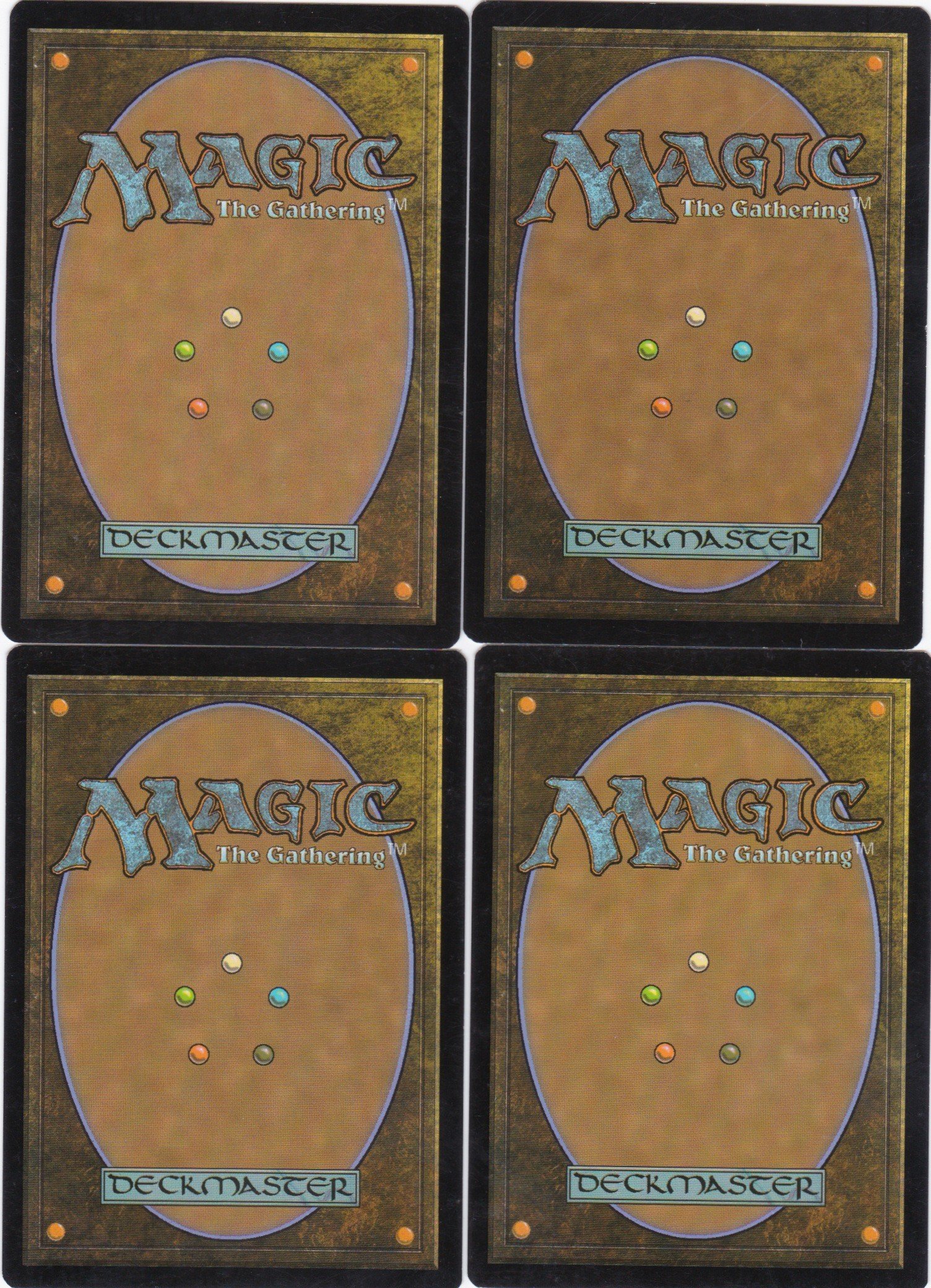 shefet monitor b.jpg