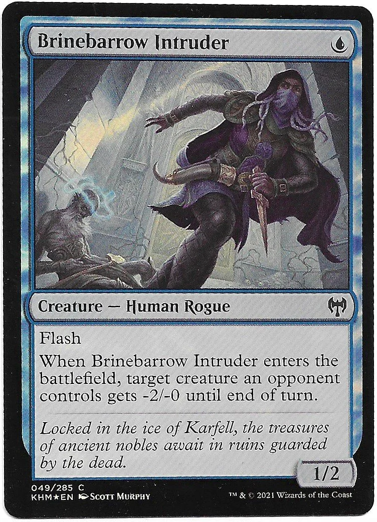 Brinebarrow Intruder