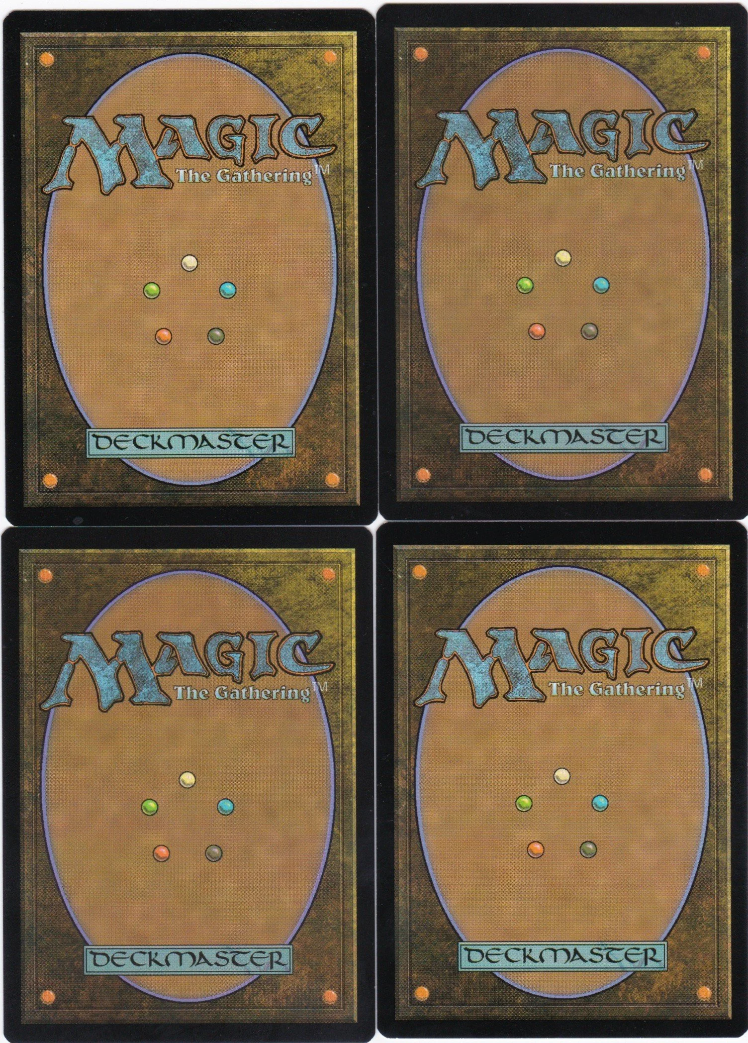 bear's companion b.jpg