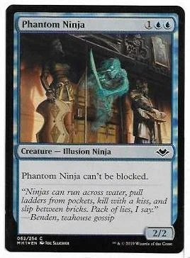 phantom ninja.1.jpg