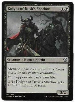 Knight of Dusk's Shadow