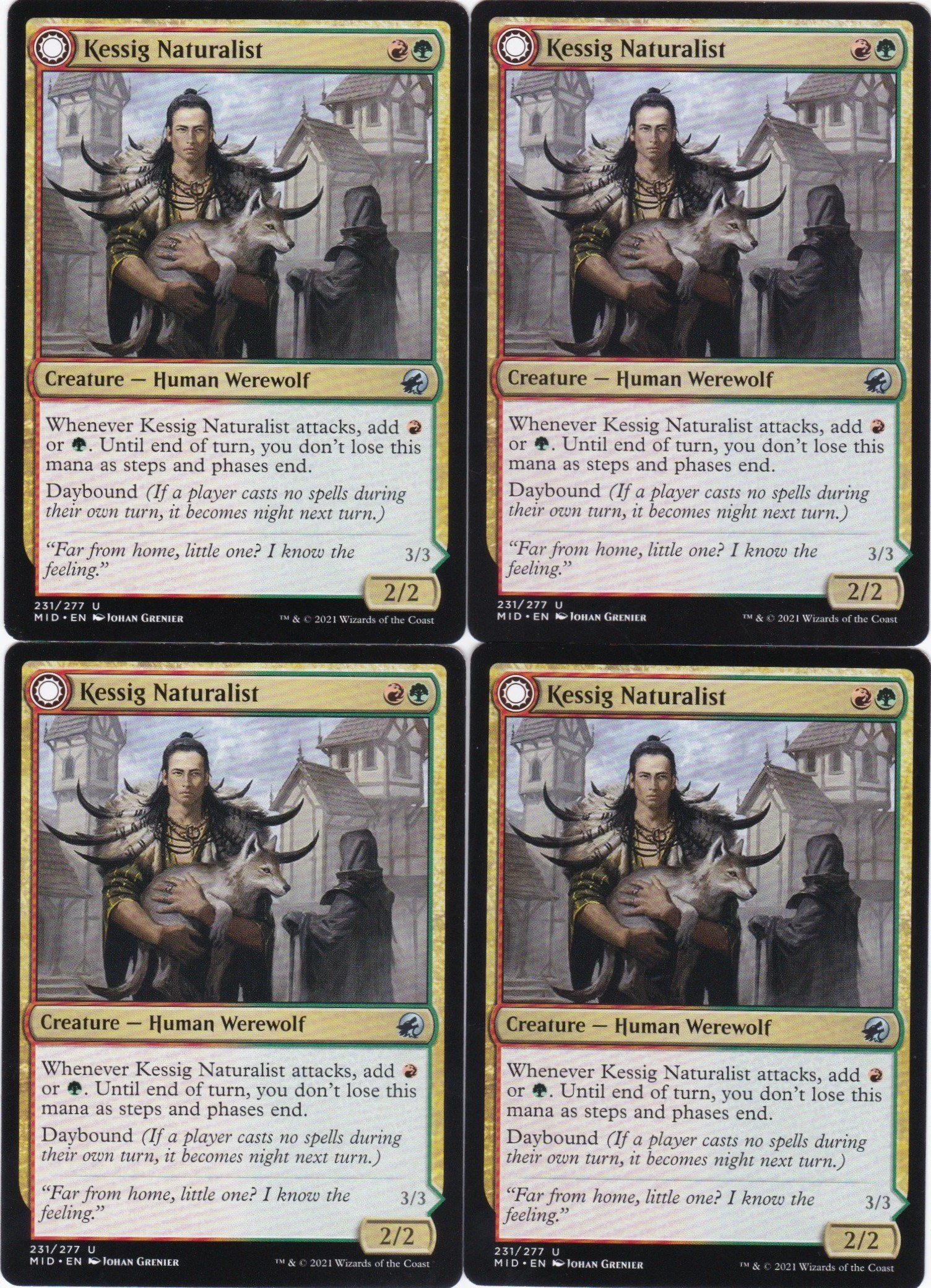 4x Kessig Naturalist