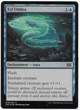 eel umbra.1.jpg
