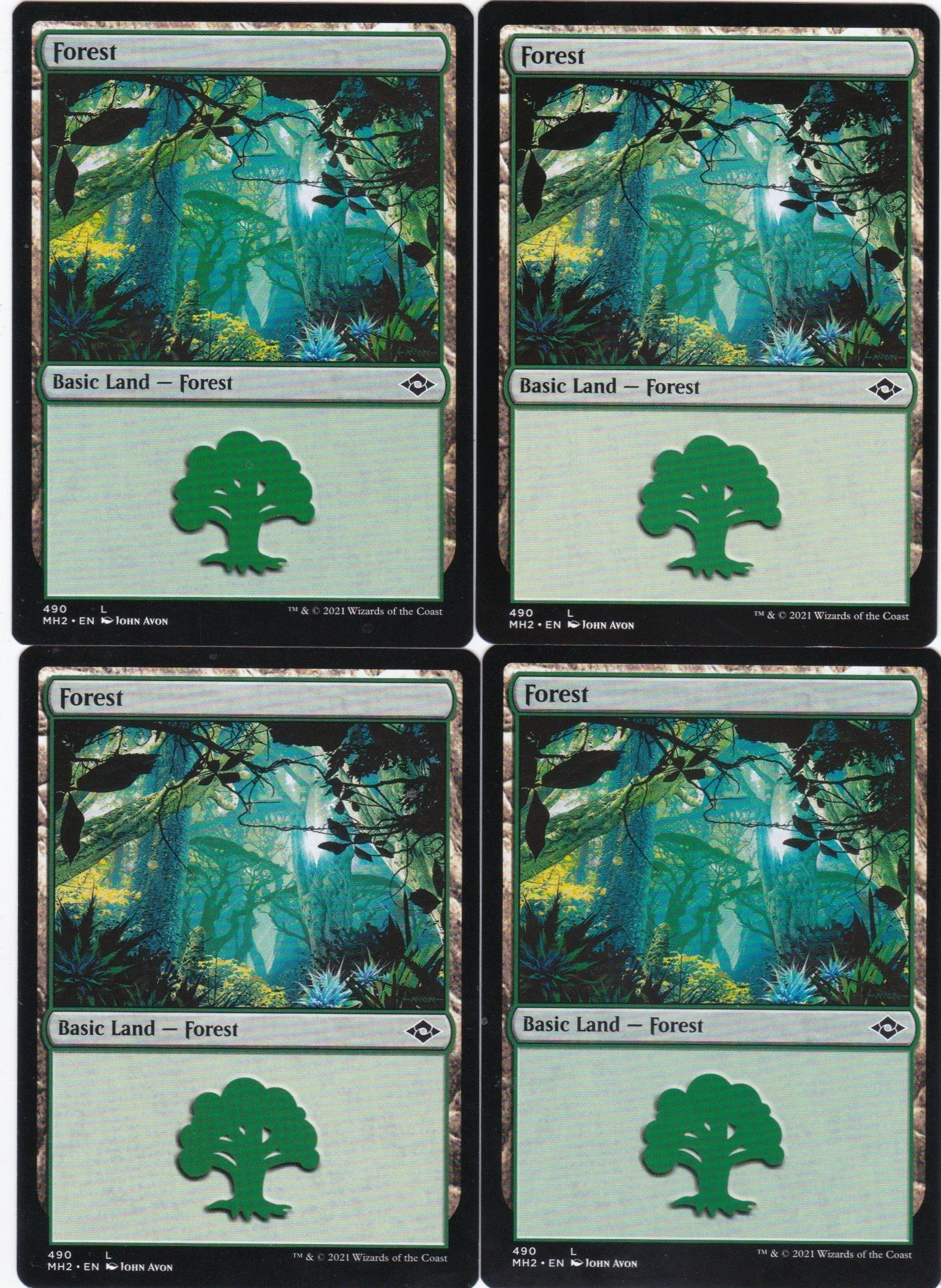 forest.jpg