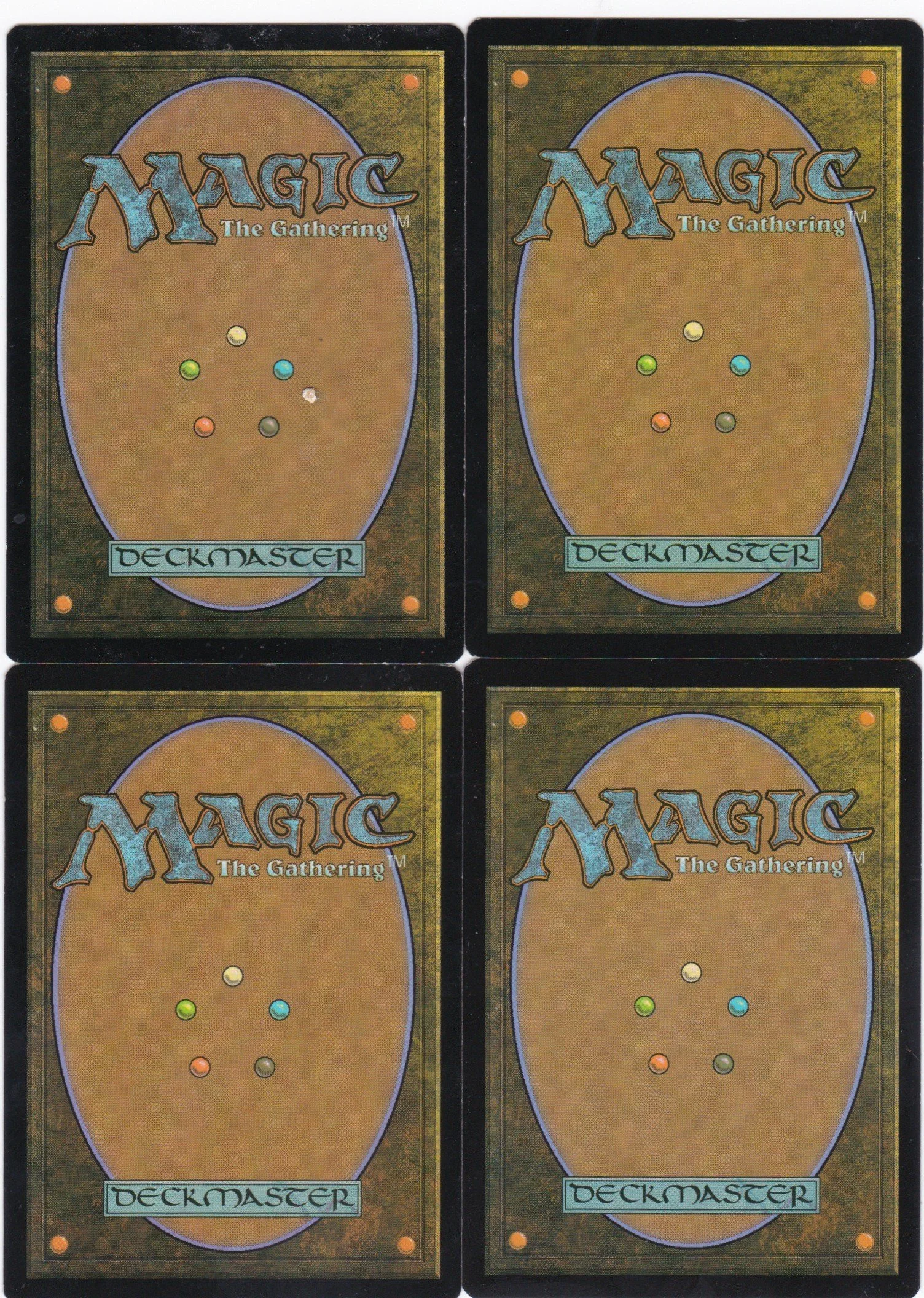 ajani's welcome b.jpg