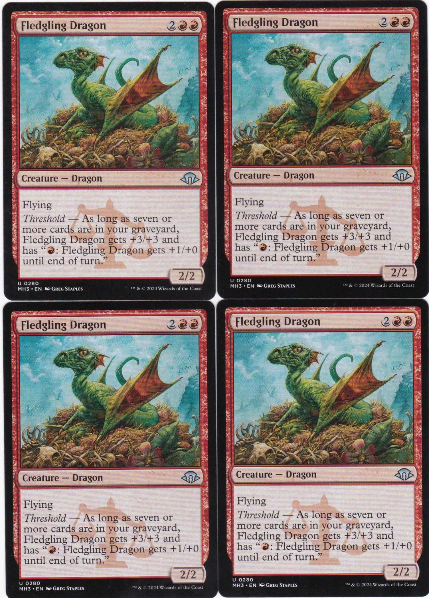 fledgling dragon a.jpg