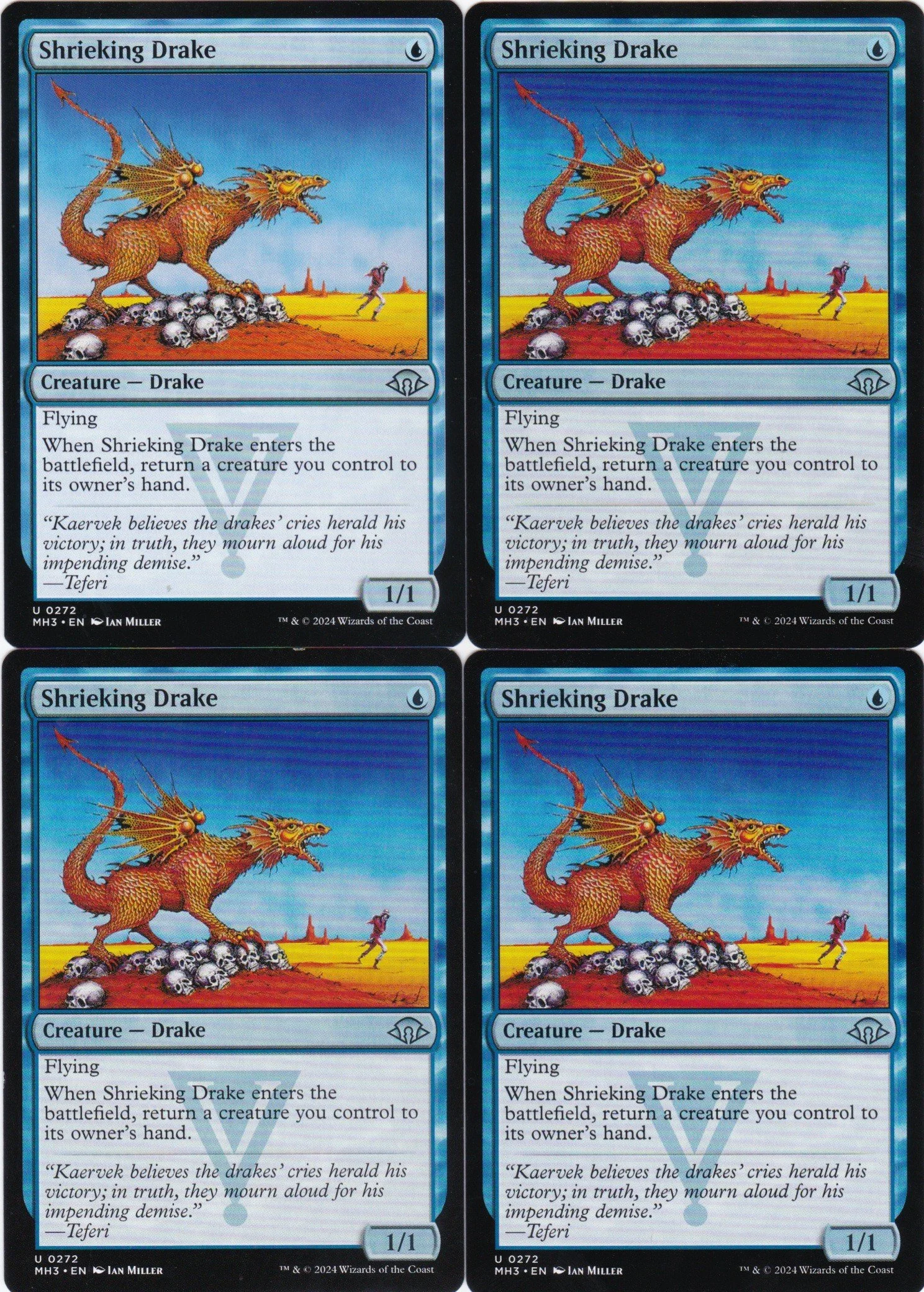 shrieking drake a.jpg