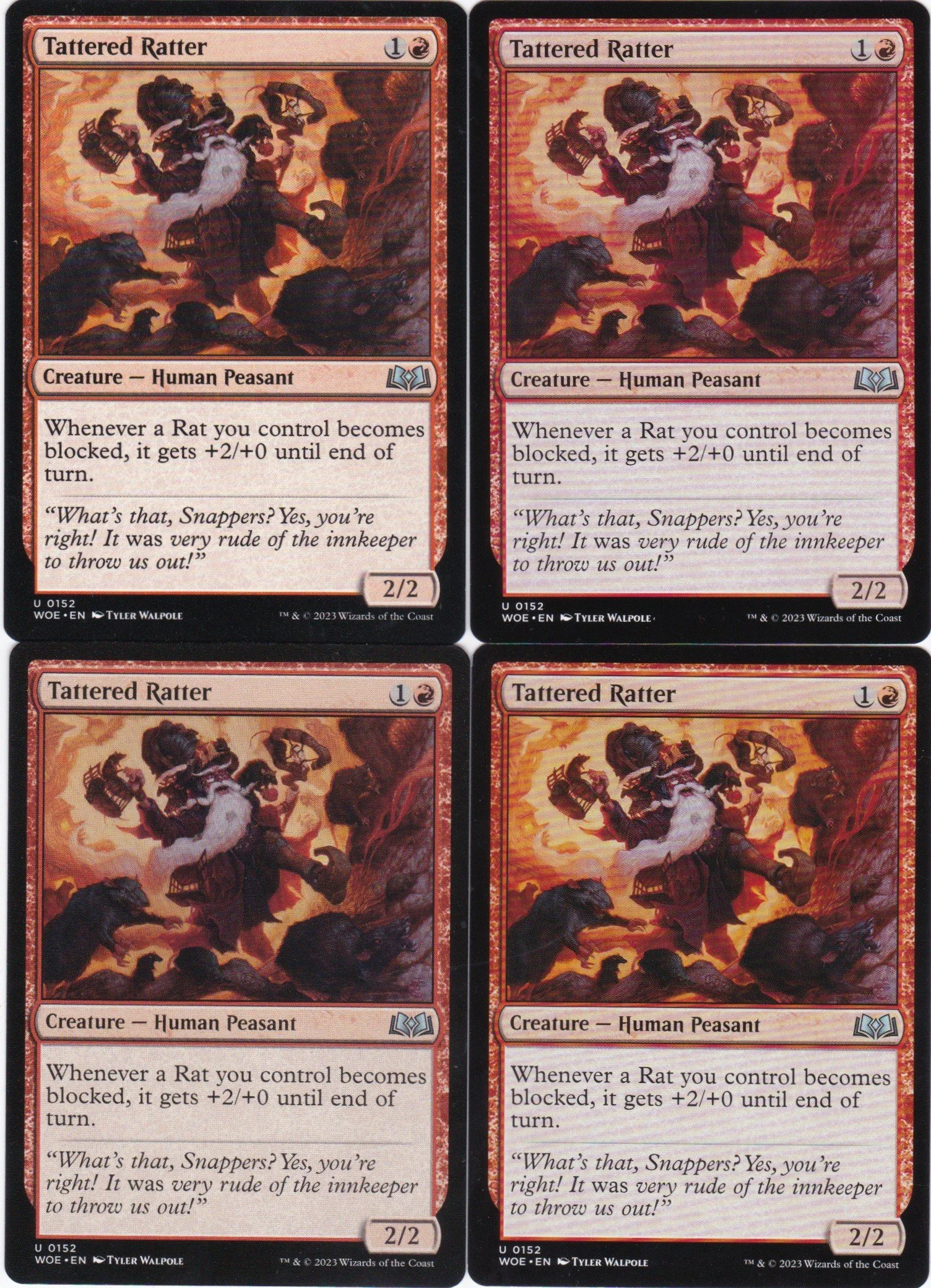 tattered Ratter a.jpg