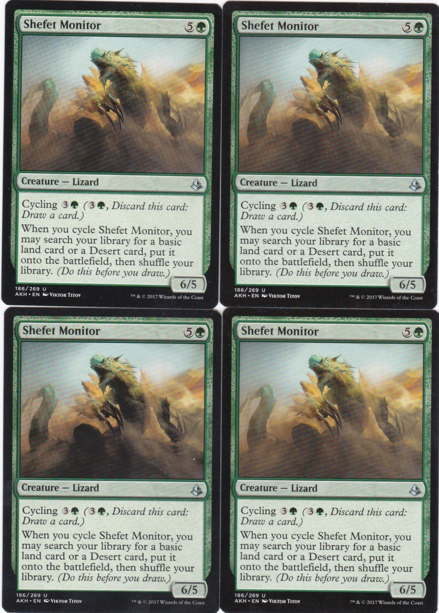 shefet monitor a.jpg