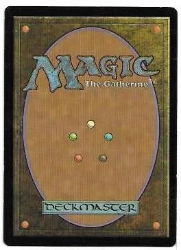 scion f the wild.2.jpg