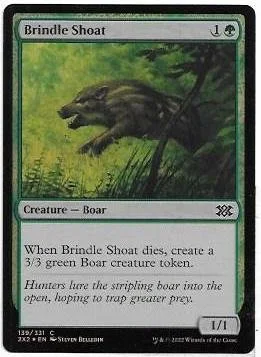 brindle shoat.1.jpg