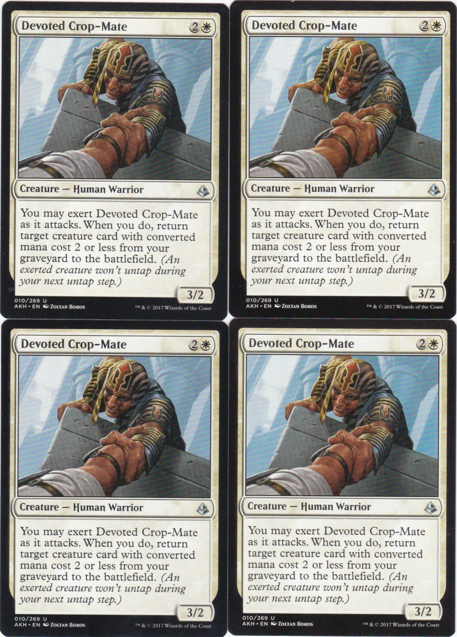 4x Devoted Crop-Mate