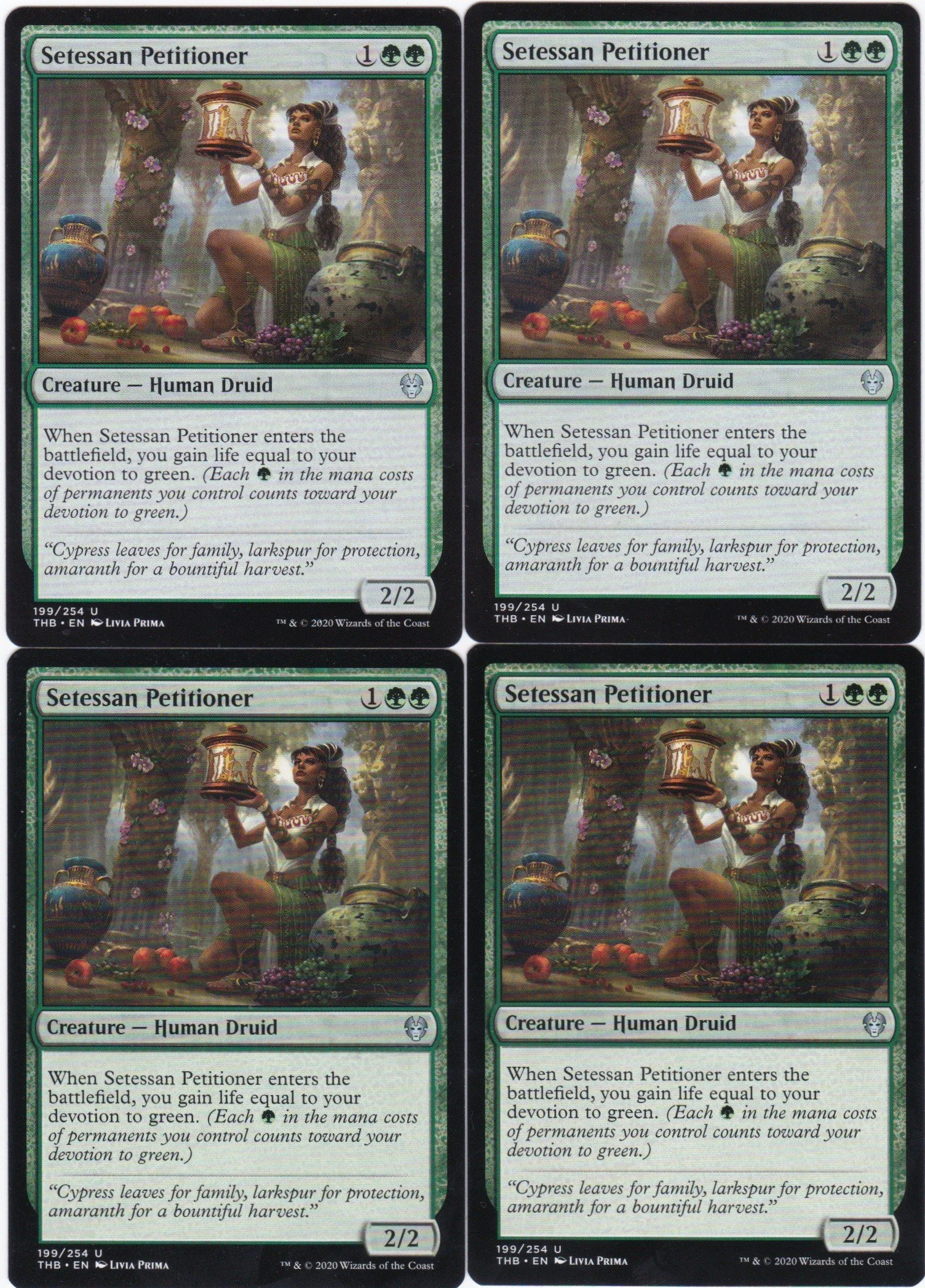 4x Setessan Petitioner
