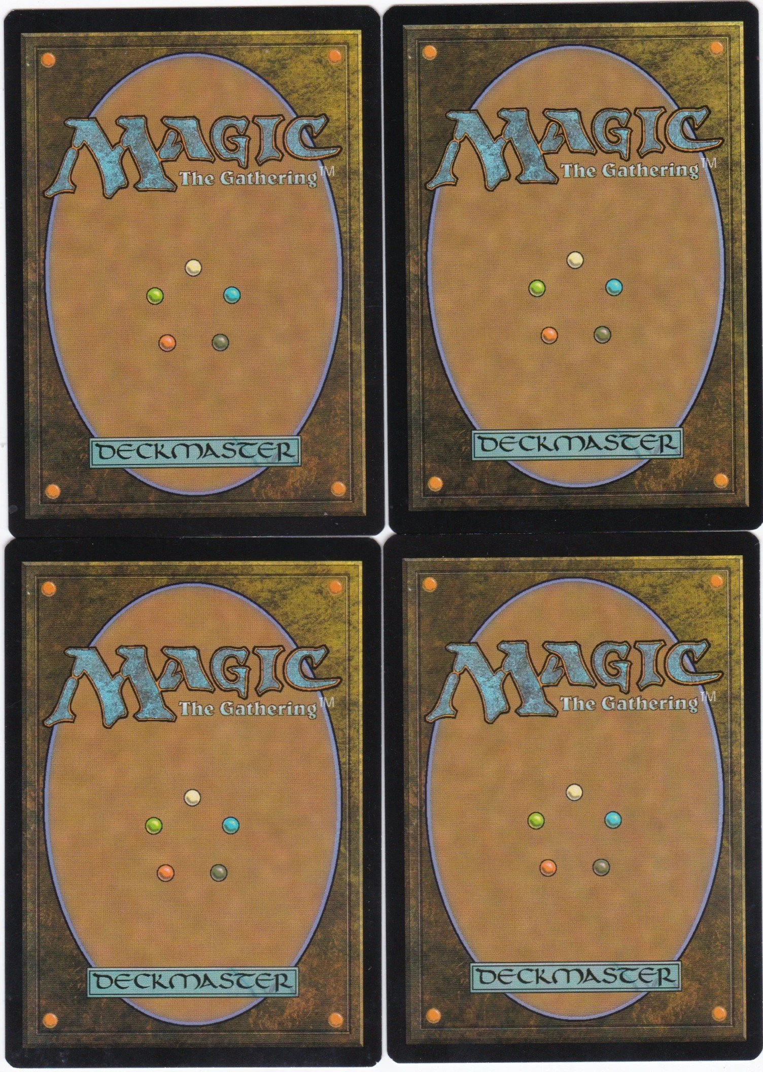 cranial archive b.jpg