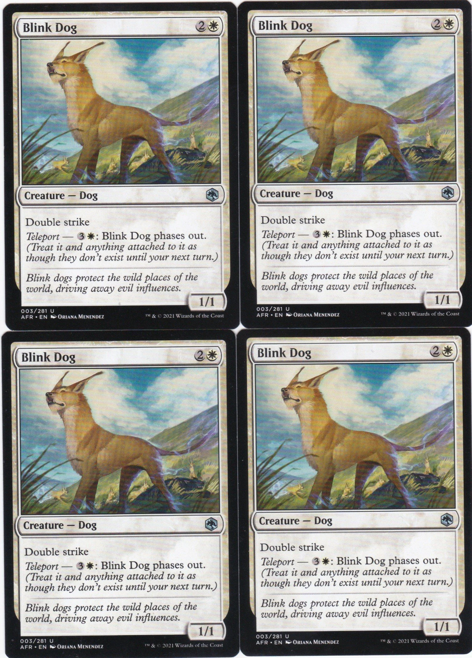 blink dog a.jpg