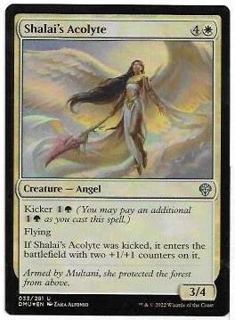Shalai's Acolyte