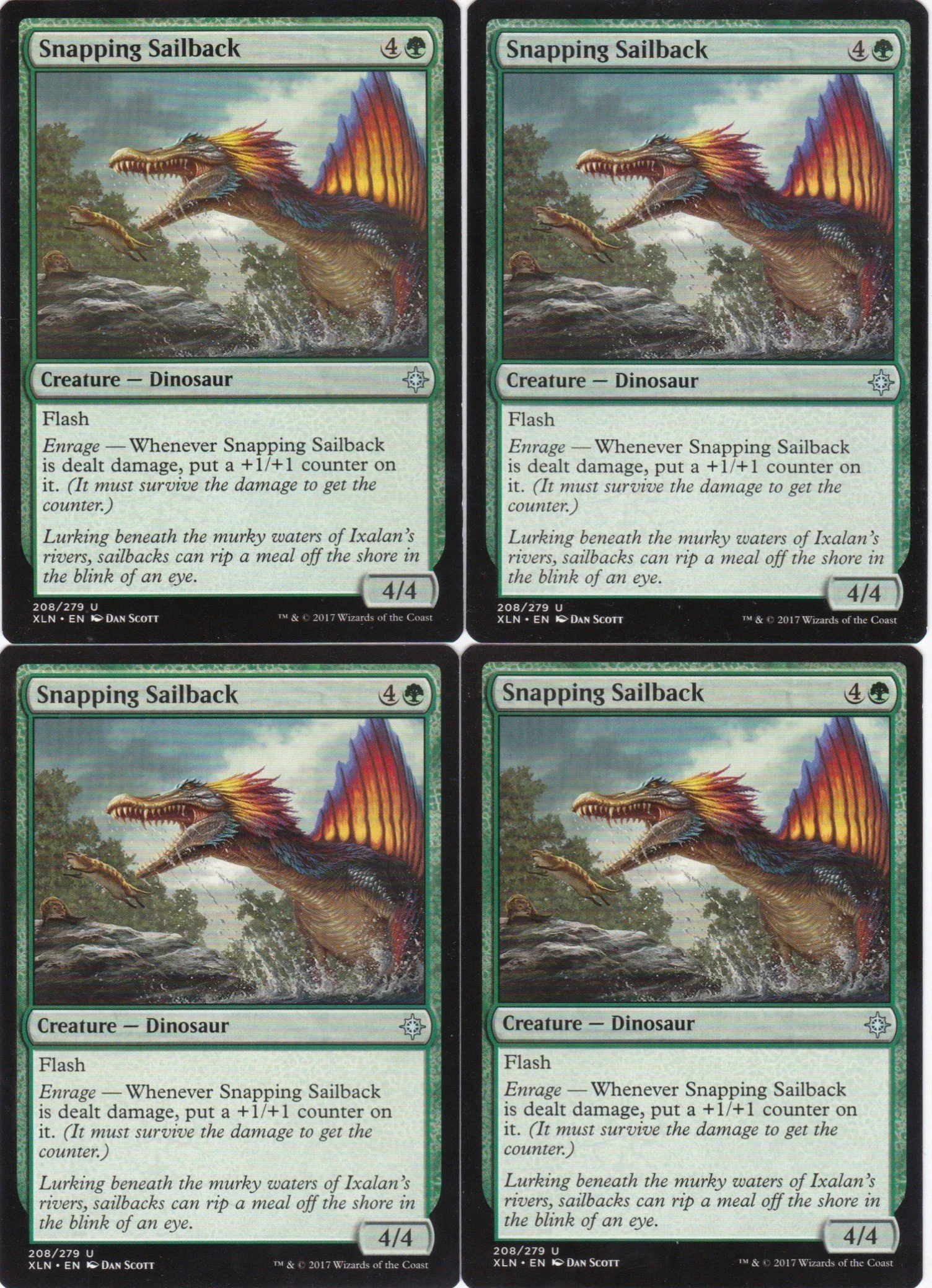 snapping sailback a.jpg