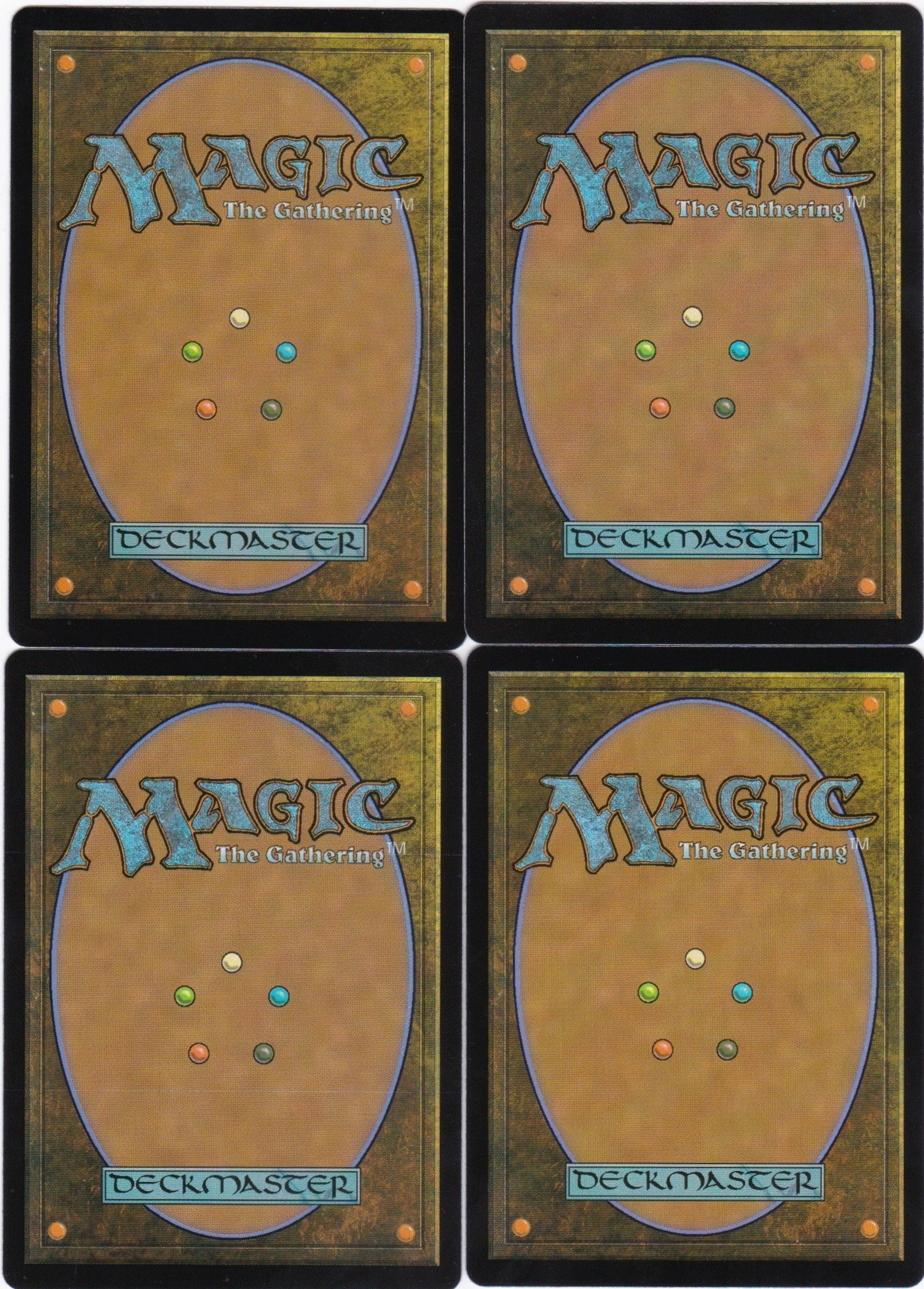 fledgling dragon b.jpg