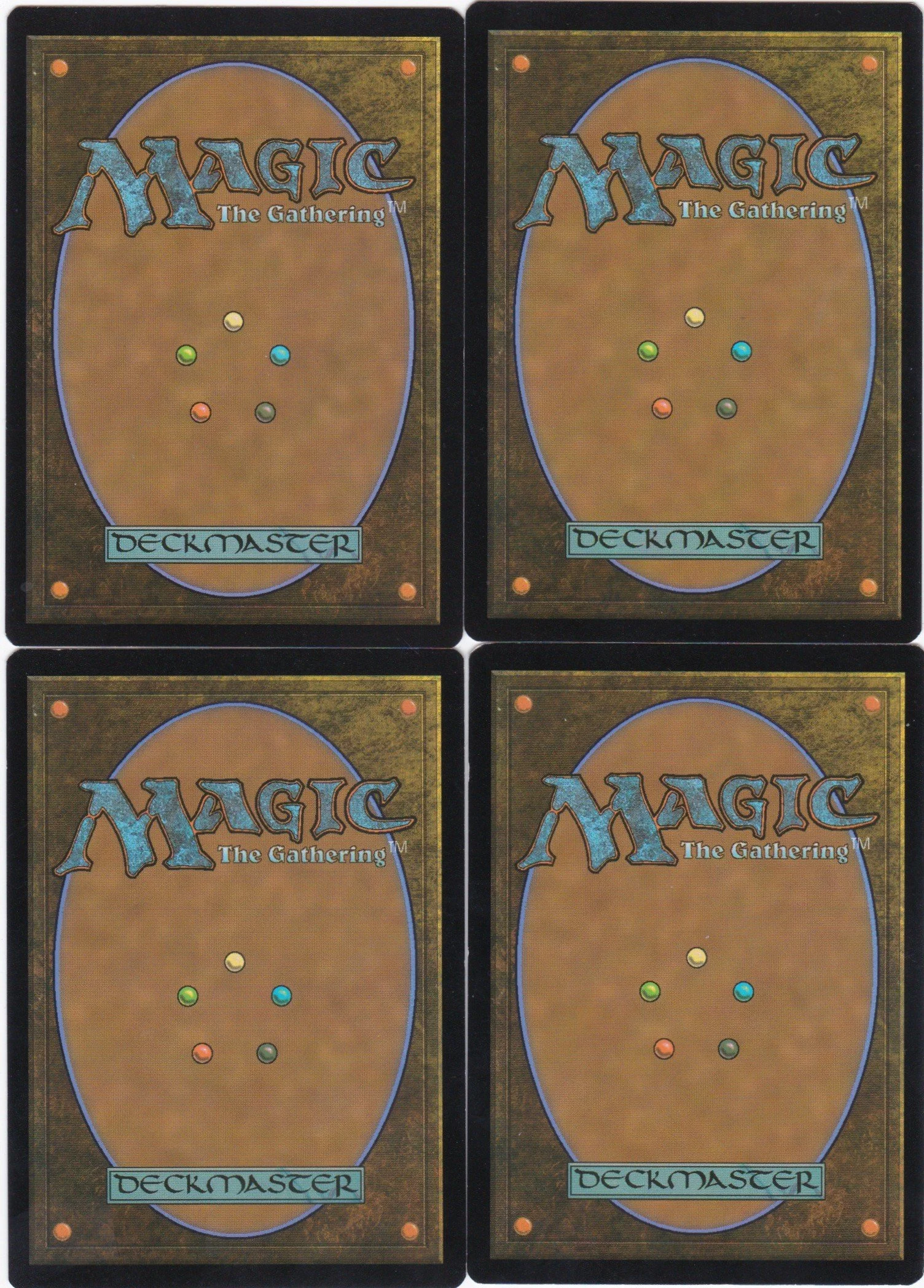 keen-eared sentry b.jpg