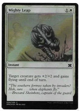 Mighty Leap