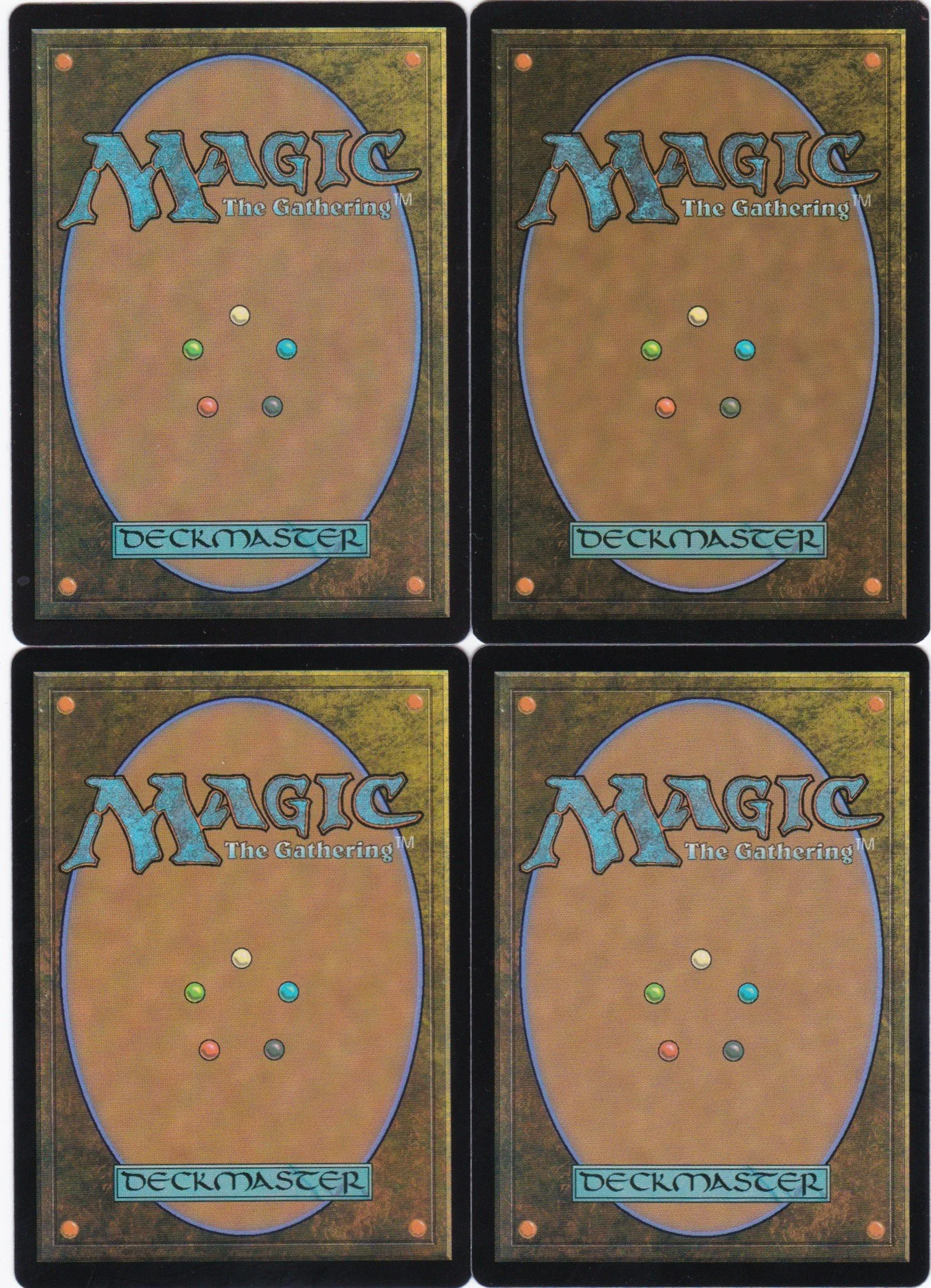 fallaji vanguard b.jpg