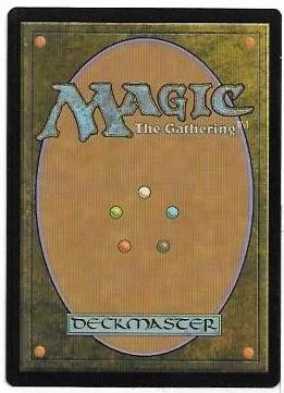 windrider wizard.2.jpg