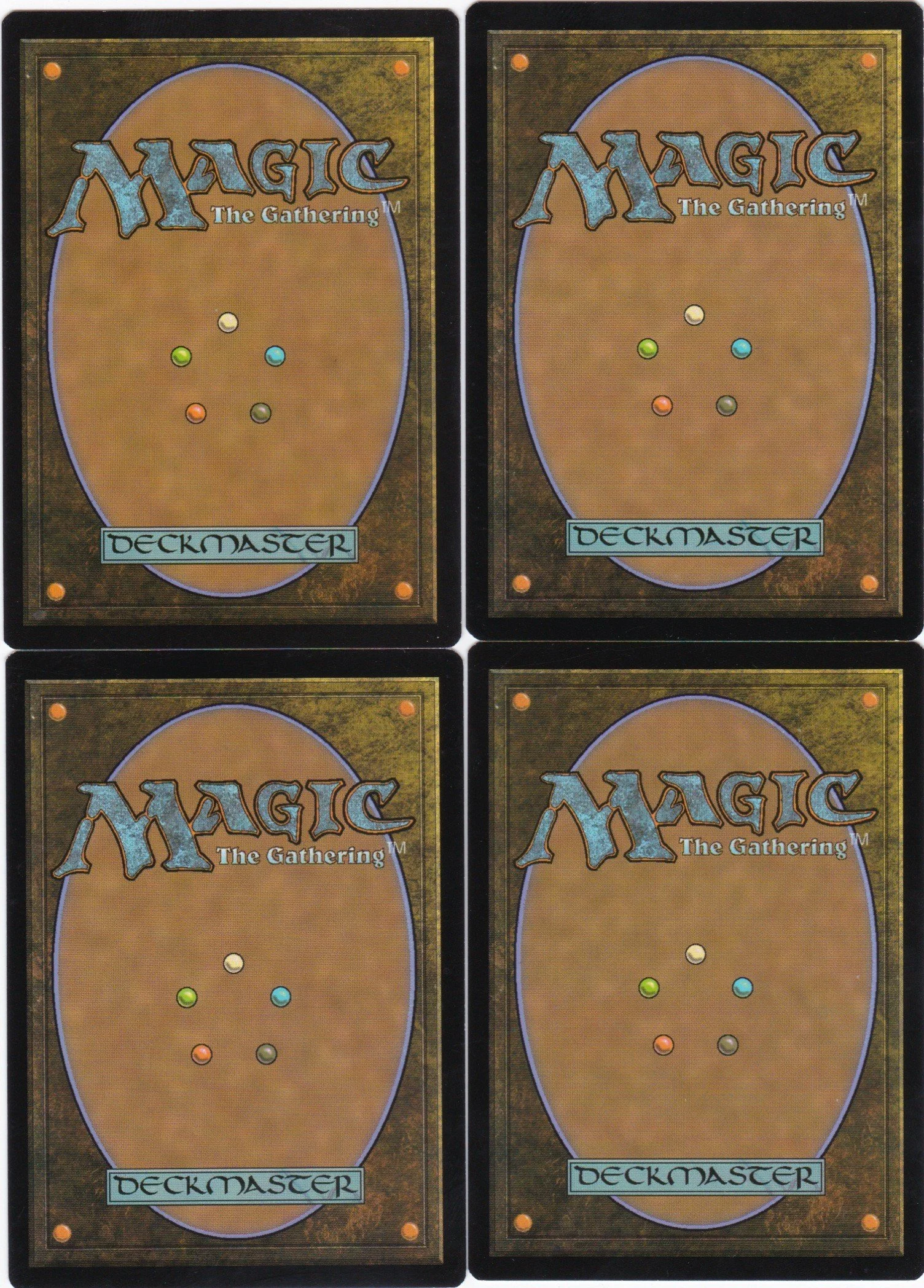 crested herdcaller b.jpg