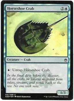 Horseshoe Crab