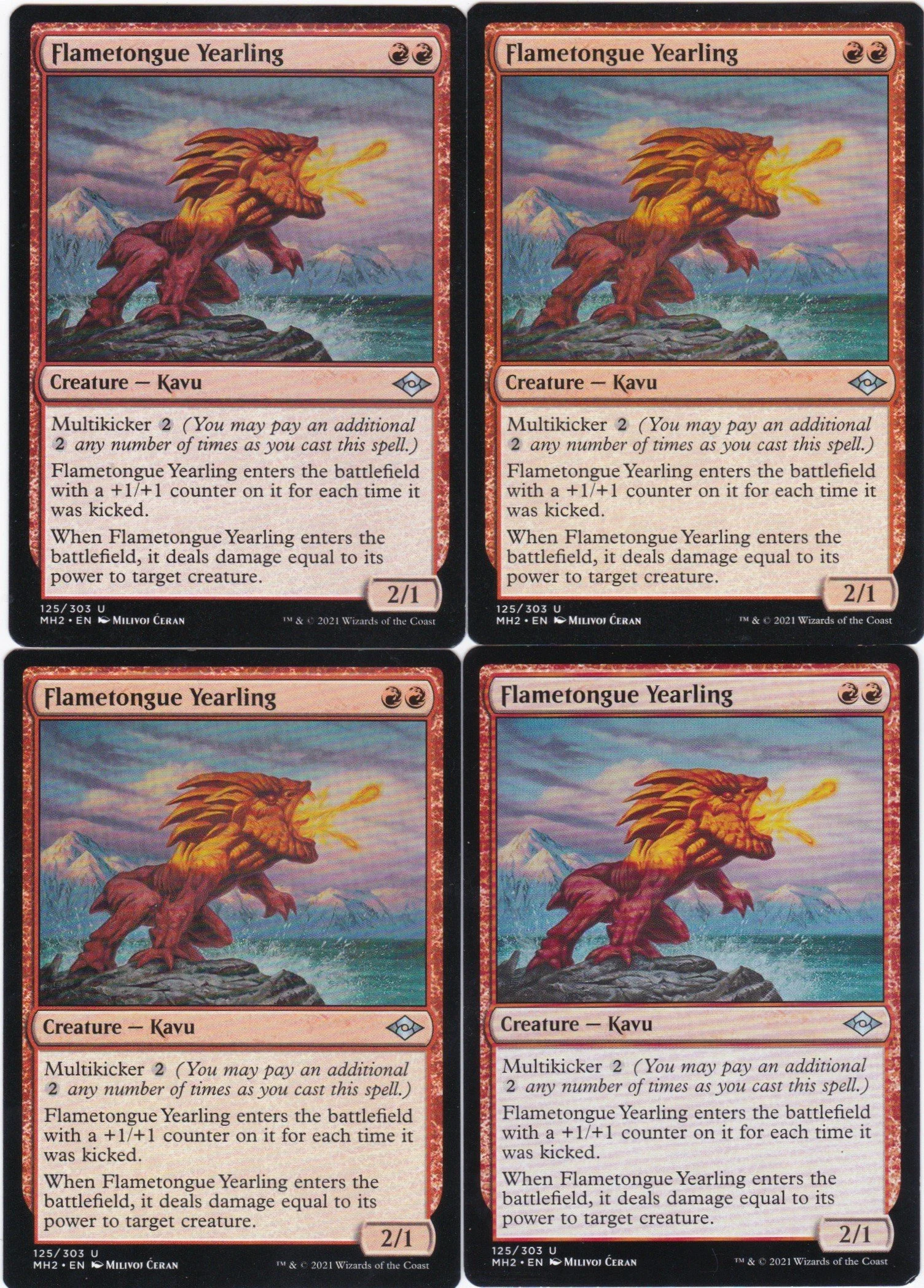 flametongue yearling a.jpg