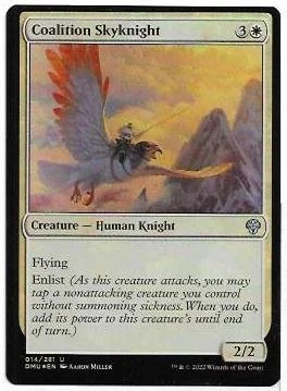 Coalition Skyknight